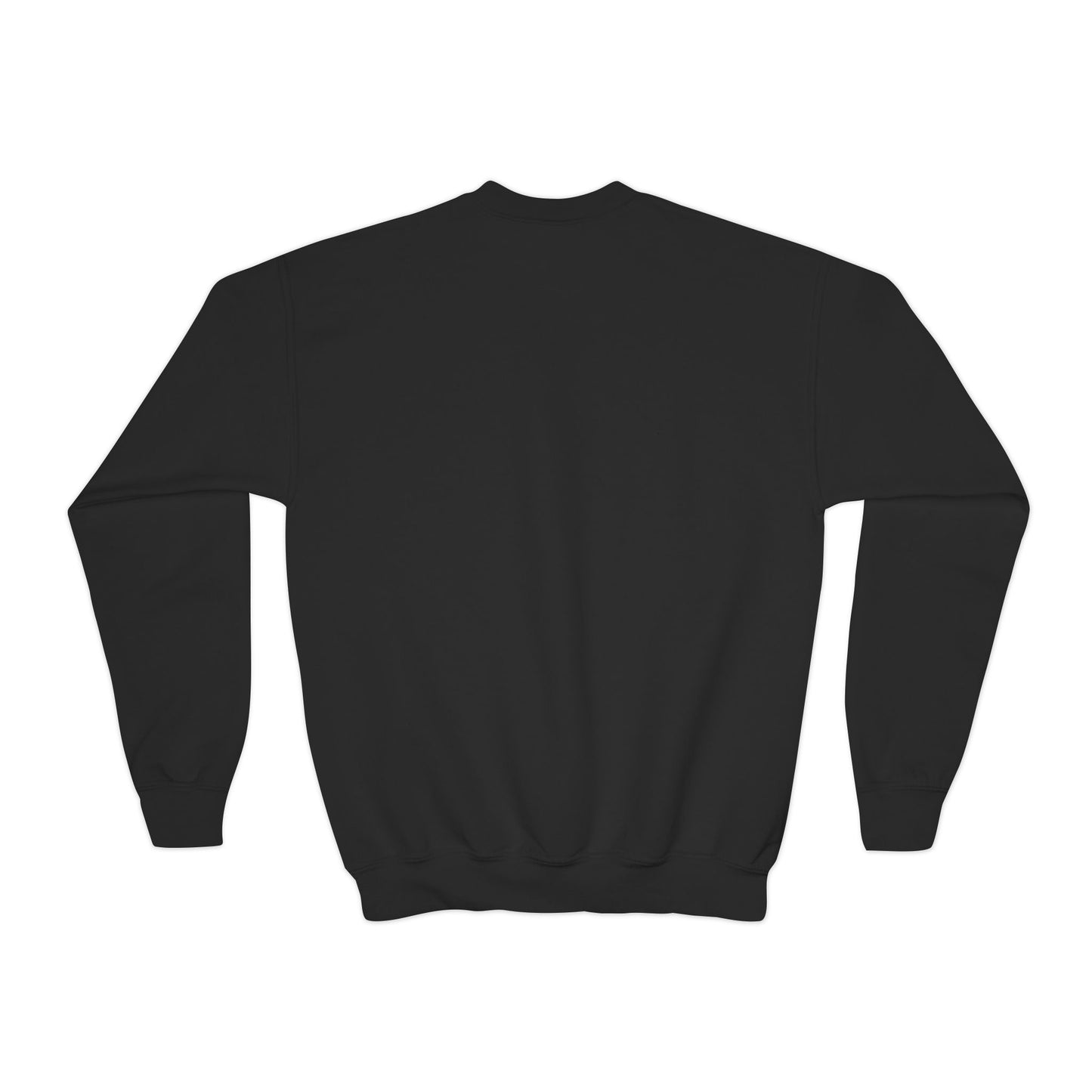 Youth sweatshirt