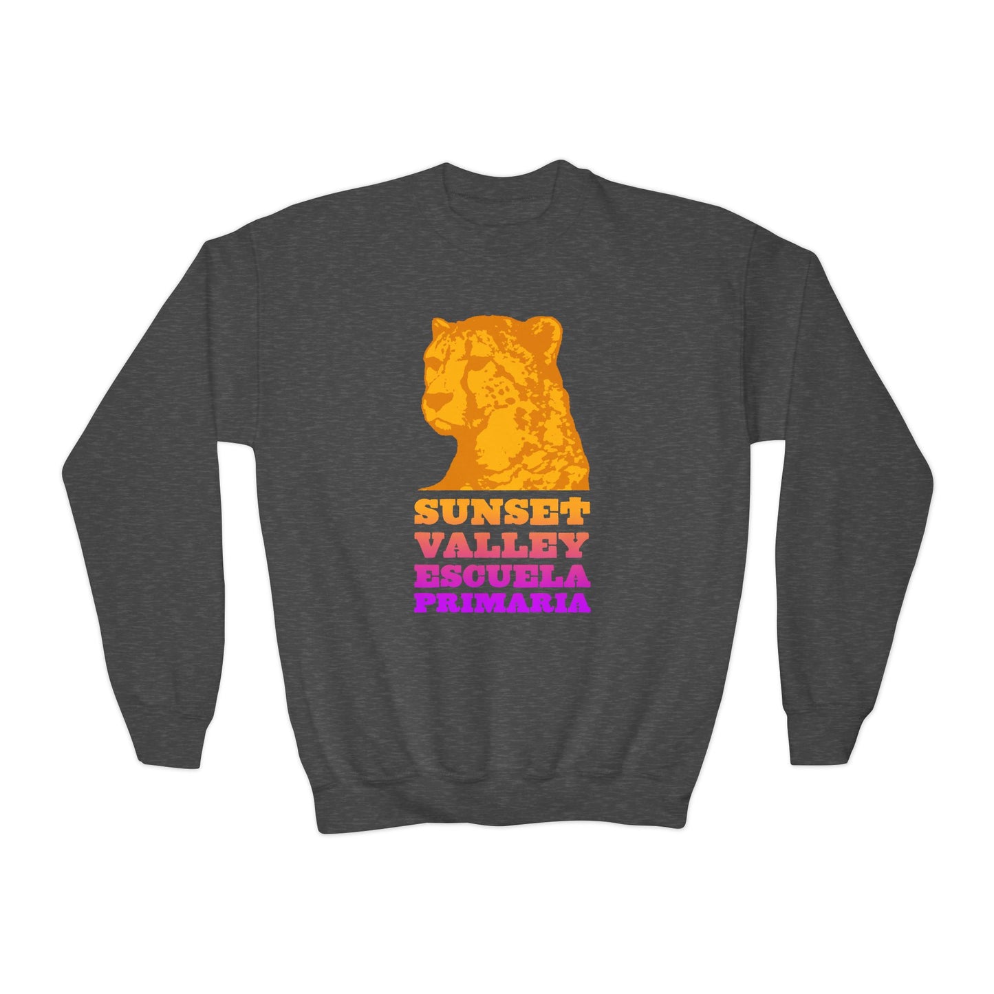 Youth sweatshirt
