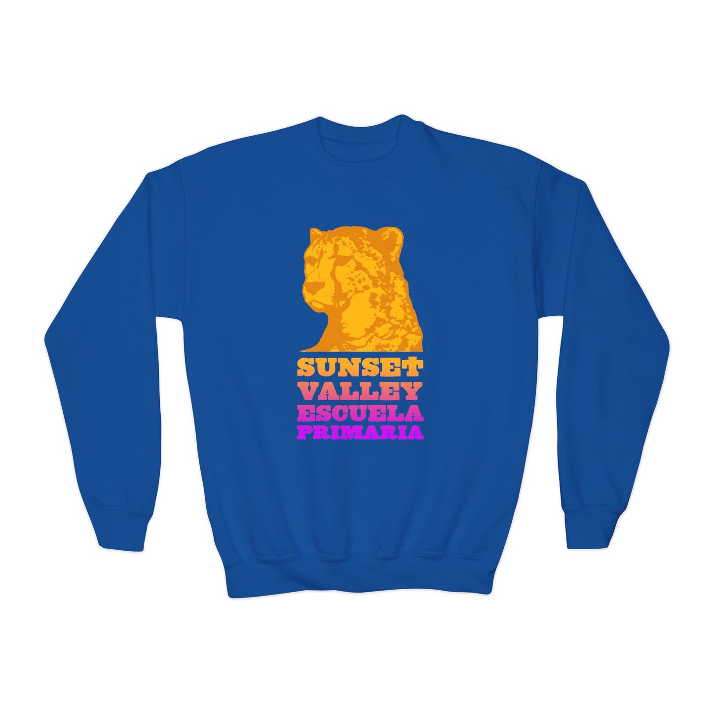 Youth sweatshirt