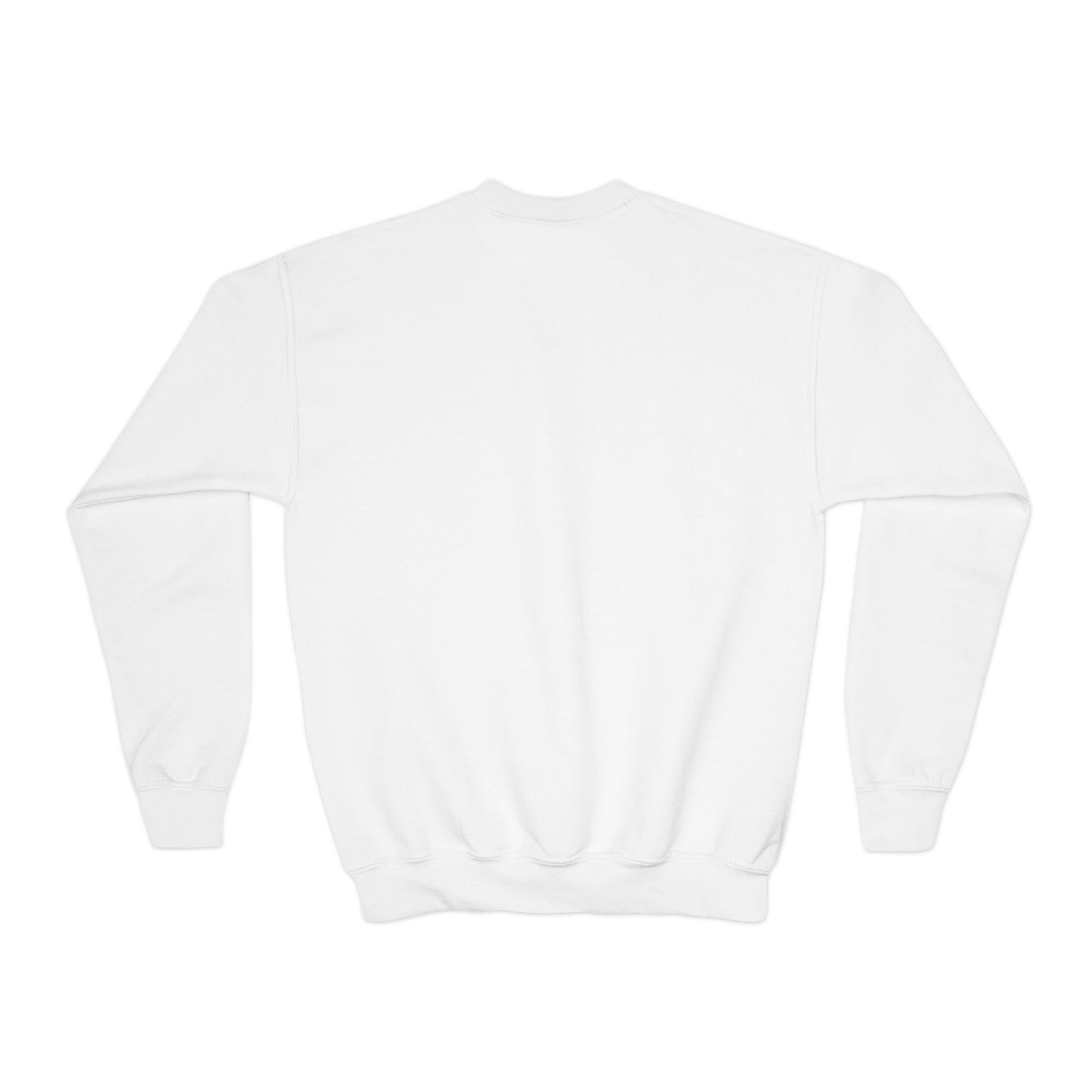 Youth sweatshirt